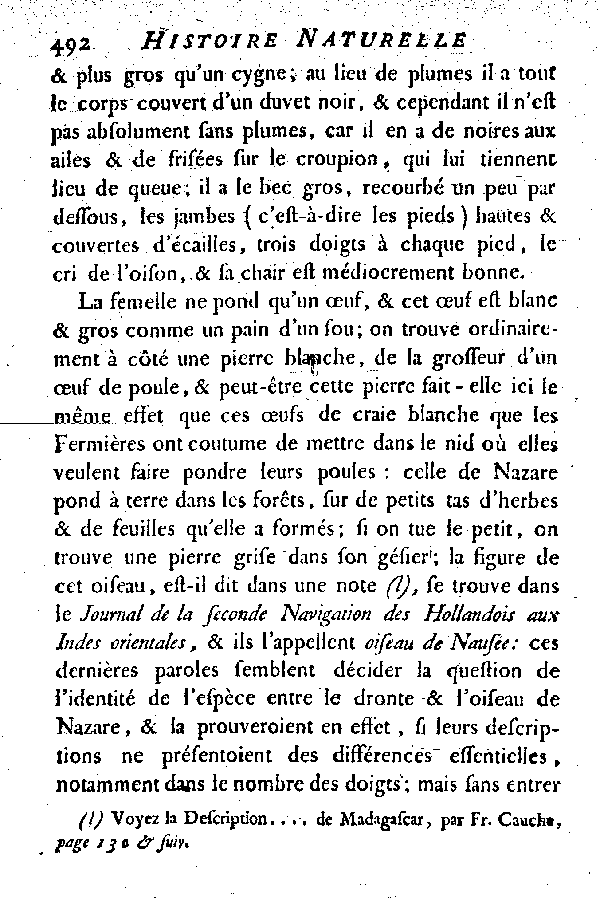 Le Solitaire et l'Oiseau de Nazare.