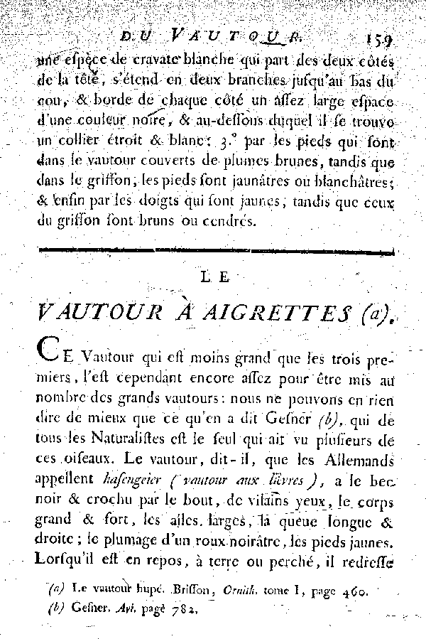 Le Vautour à aigrettes