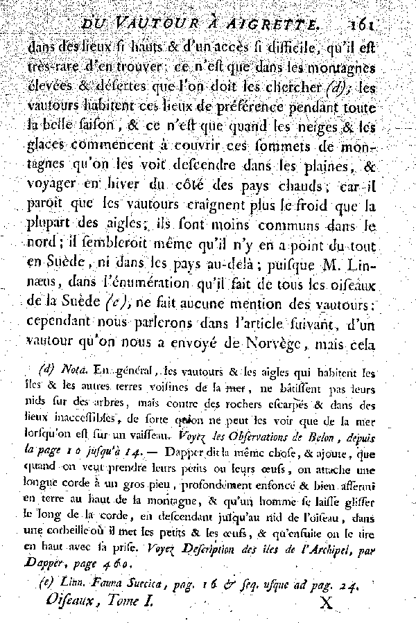 Le Vautour à aigrettes