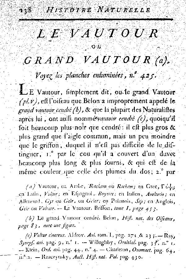 Le Vautour ou grand Vautour