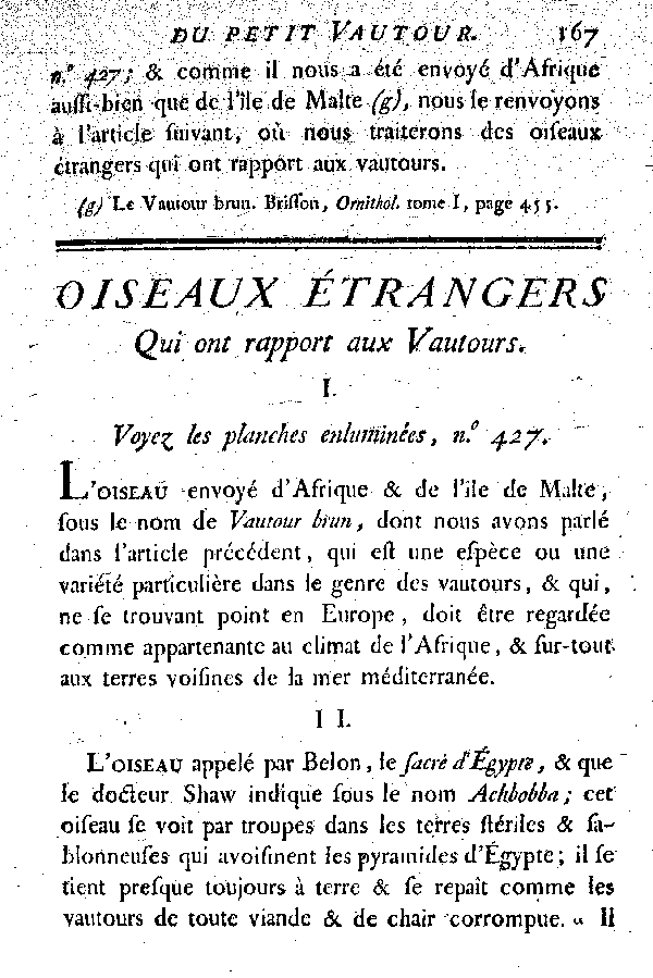 Oiseaux étrangers qui ont rapport aux Vautours