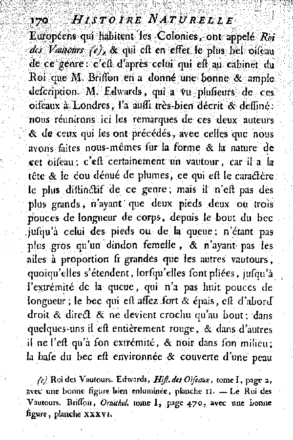 Oiseaux étrangers qui ont rapport aux Vautours