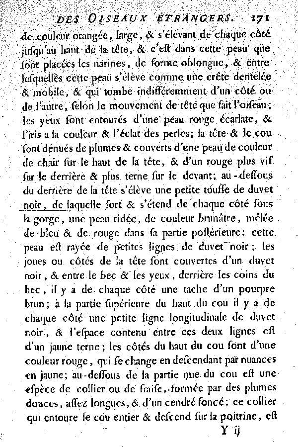 Oiseaux étrangers qui ont rapport aux Vautours