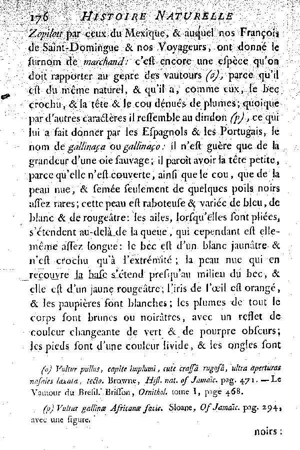 Oiseaux étrangers qui ont rapport aux Vautours