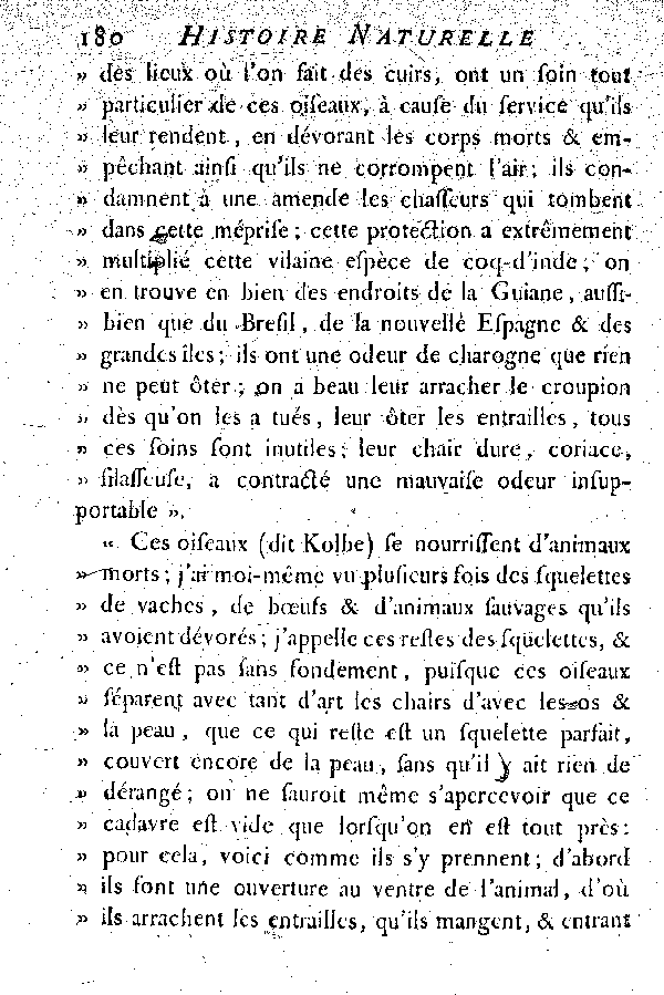 Oiseaux étrangers qui ont rapport aux Vautours