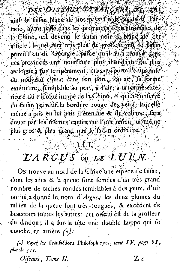 III. L'Argus ou le Luen