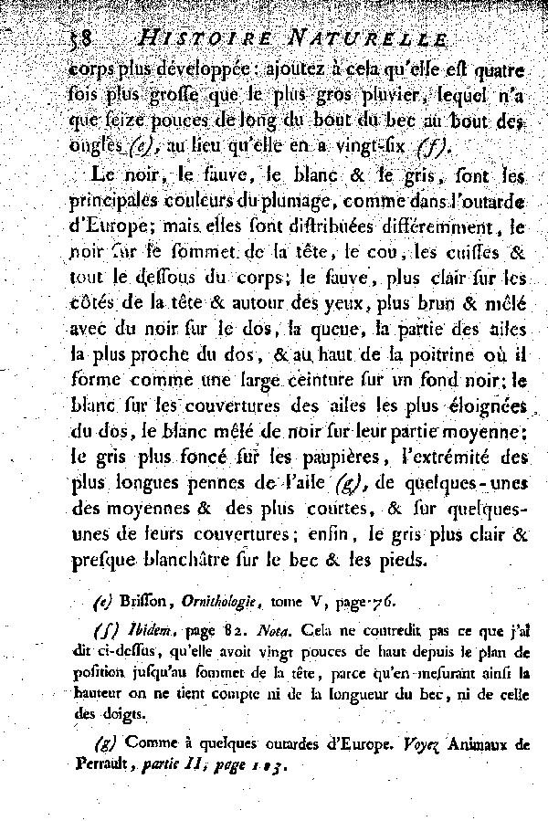 III. Le Churge ou l'Outarde moyenne des Indes