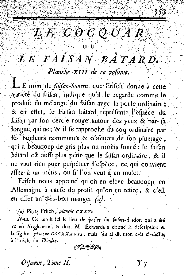 Le Cocquard ou le Faisan bâtard