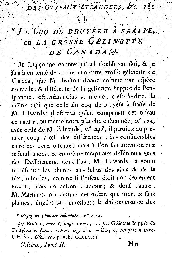 II. Le Coq de bruyère à fraise, ou la grosse Gélinotte du Canada