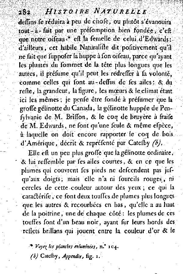 II. Le Coq de bruyère à fraise, ou la grosse Gélinotte du Canada