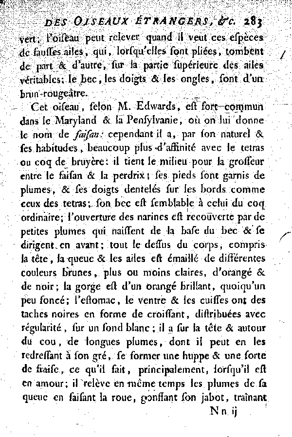 II. Le Coq de bruyère à fraise, ou la grosse Gélinotte du Canada