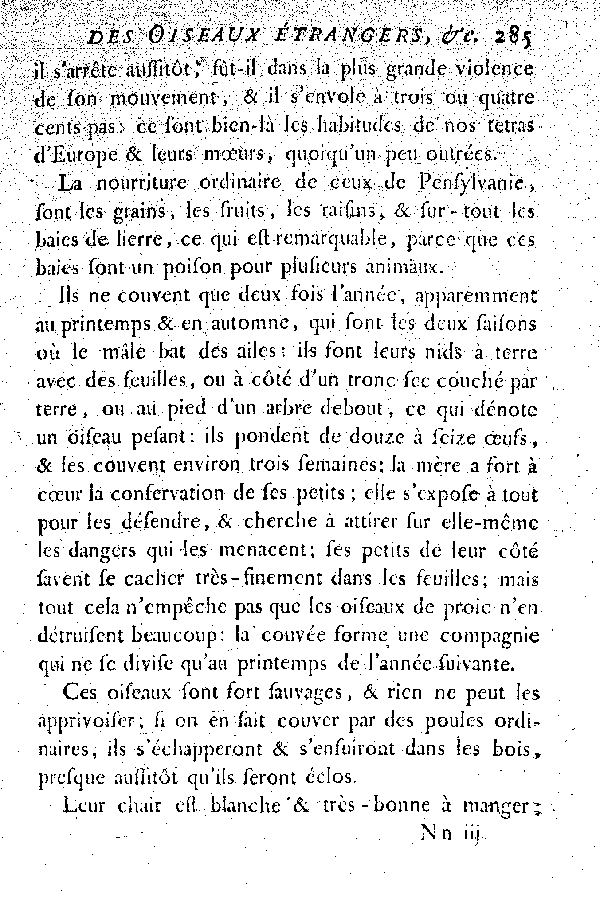 II. Le Coq de bruyère à fraise, ou la grosse Gélinotte du Canada