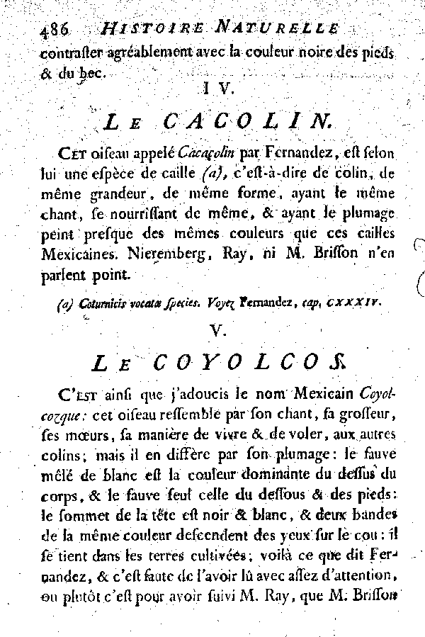 V. Le Coyolcos