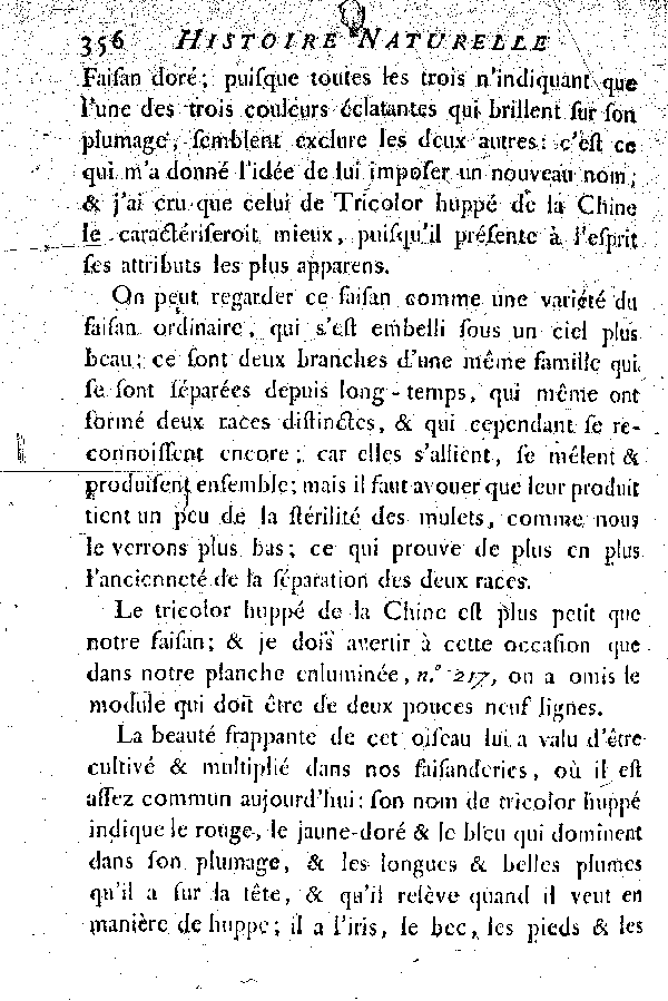 I. Le Faisan doré ou le Tricolor huppé de la Chine