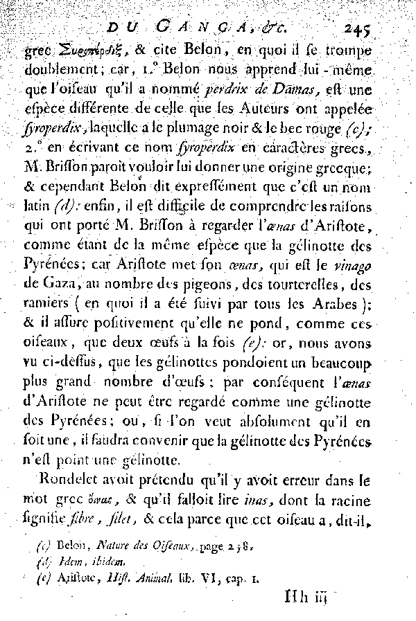 Le Ganga, vulgairement la Gelinotte des Pyrénées