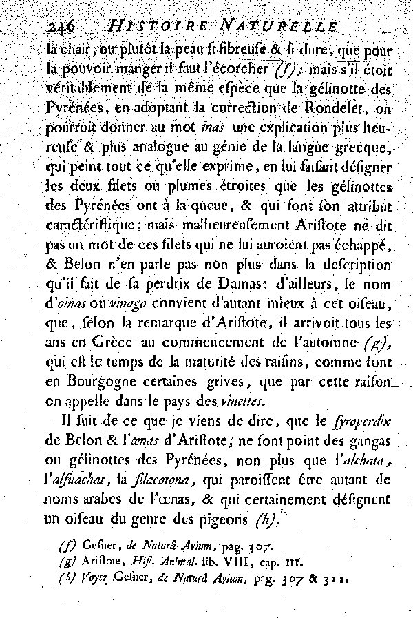 Le Ganga, vulgairement la Gelinotte des Pyrénées