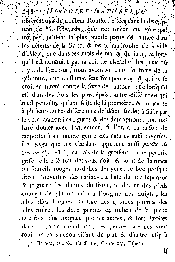 Le Ganga, vulgairement la Gelinotte des Pyrénées