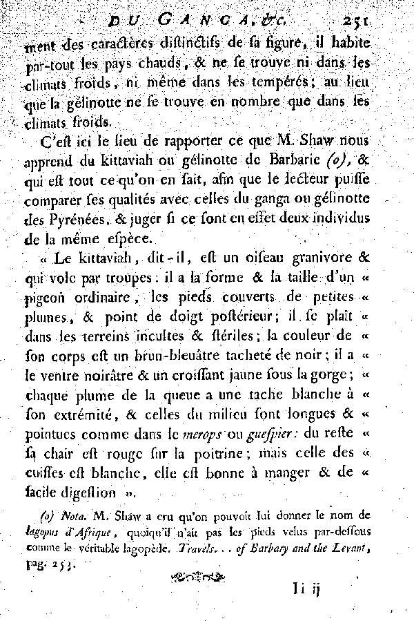 Le Ganga, vulgairement la Gelinotte des Pyrénées