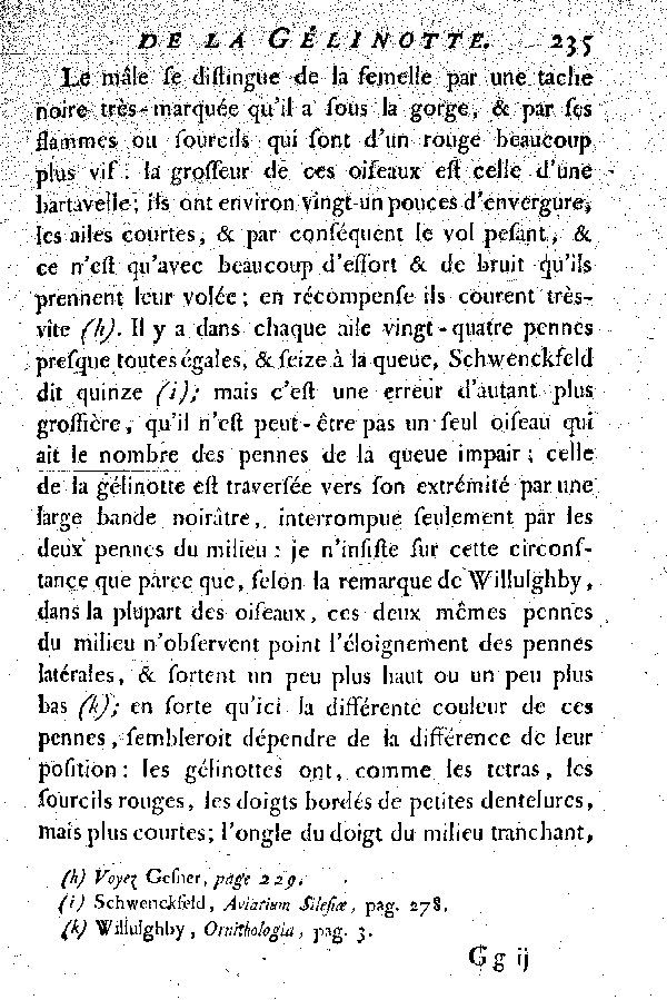 La Gélinotte