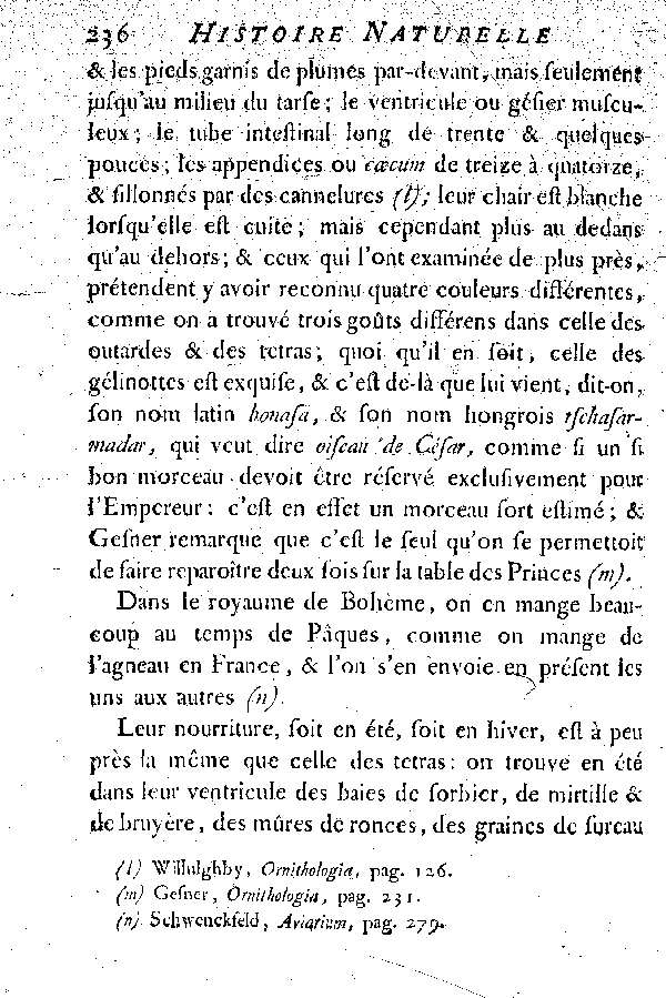 La Gélinotte