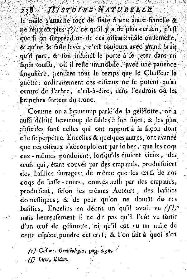 La Gélinotte