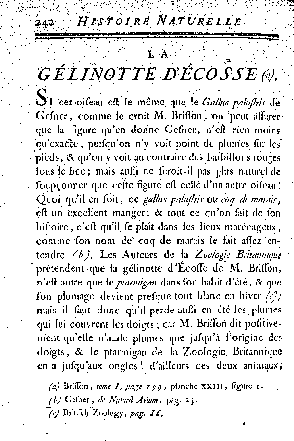 La Gélinotte d'écosse