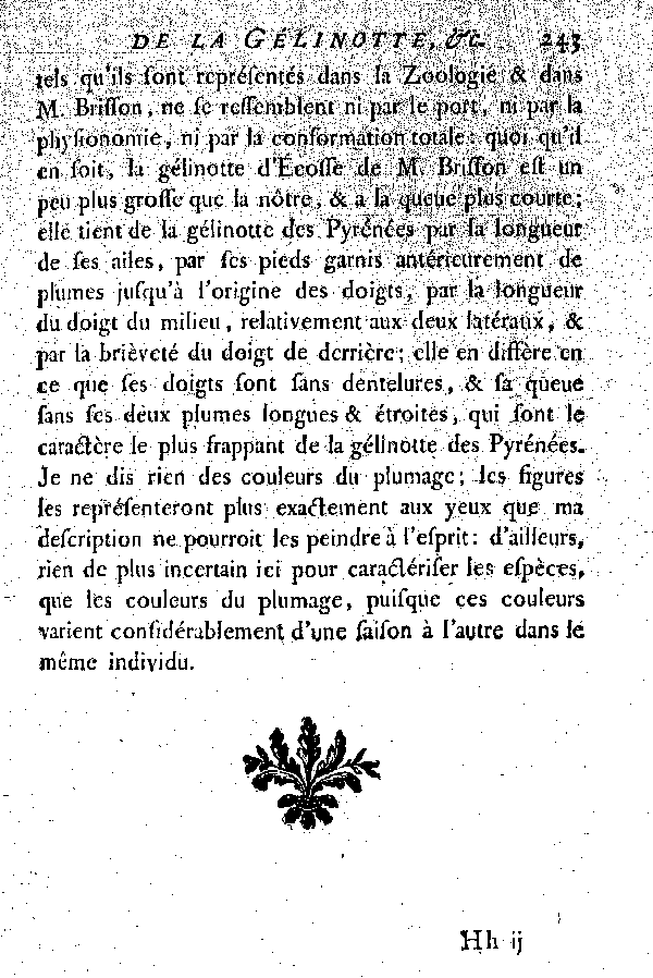 La Gélinotte d'écosse