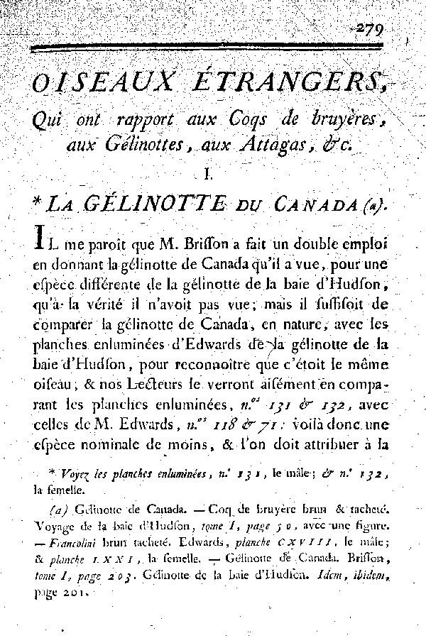 I. La Gélinotte du Canada