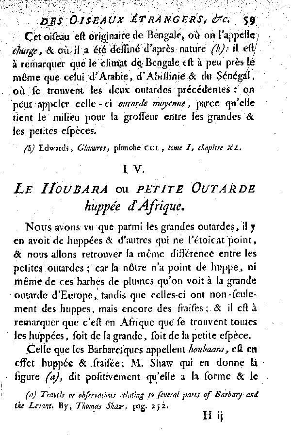 IV. Le Houbara ou petite Outarde huppée d'Afrique