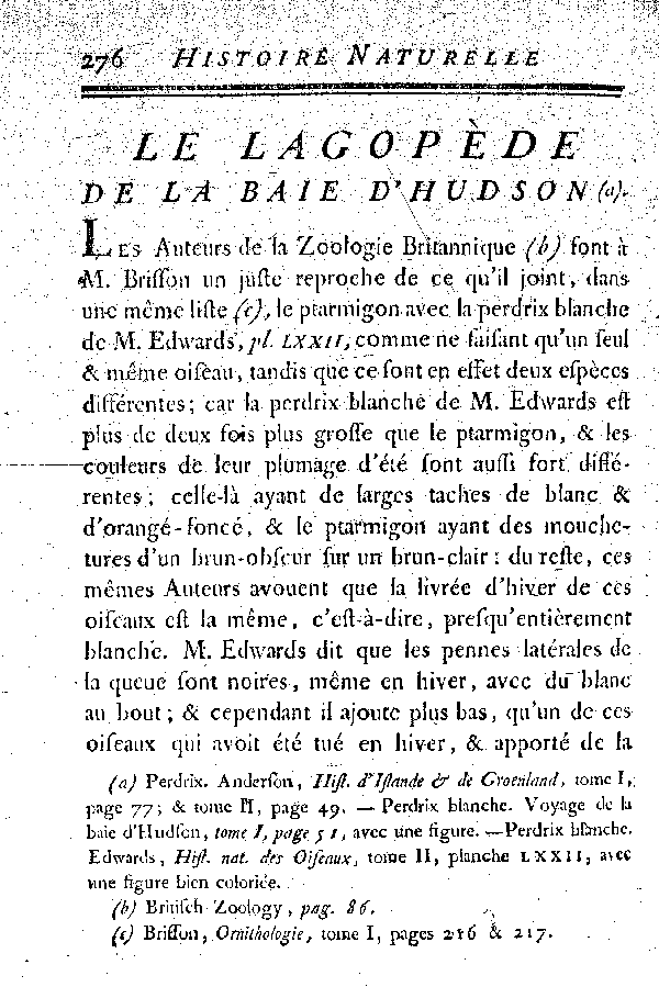 Le Lagopède de la baie d'Hudson