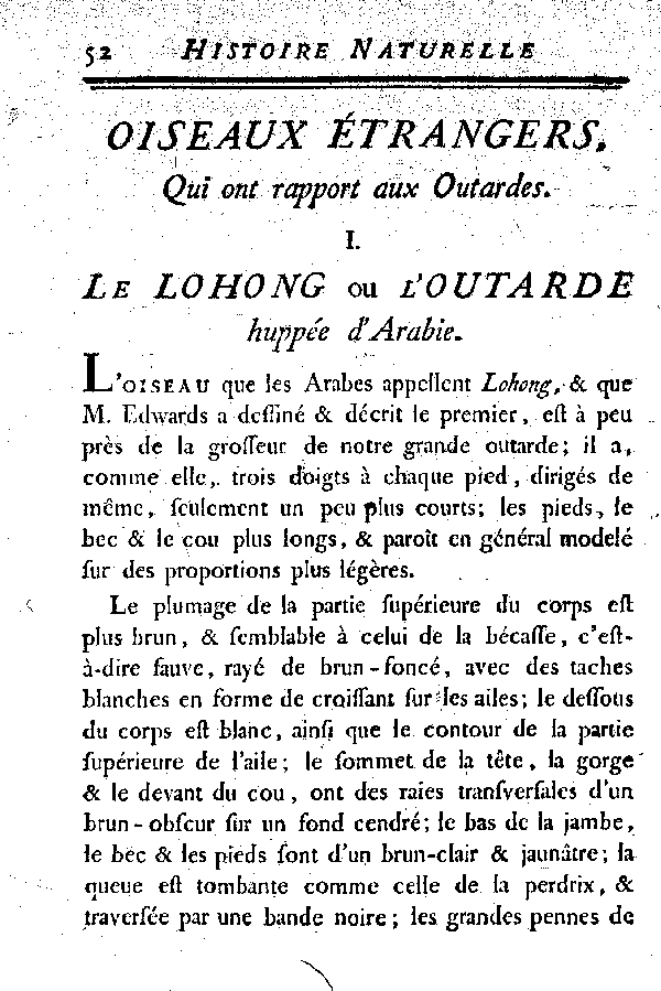 I. Le Lohong ou L'Outarde huppée d'Arabie