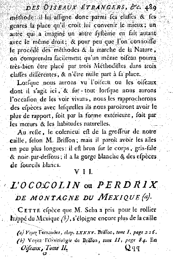 VII. L'Ococolin ou Perdrix de montagne