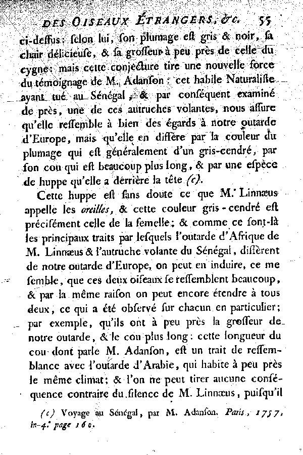 II. L'Outarde d'Afrique