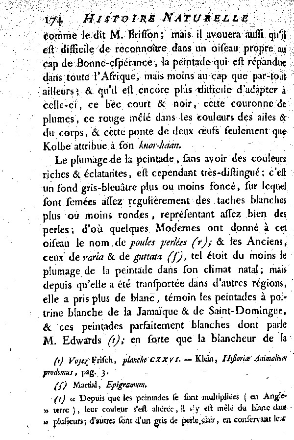 La Peintade