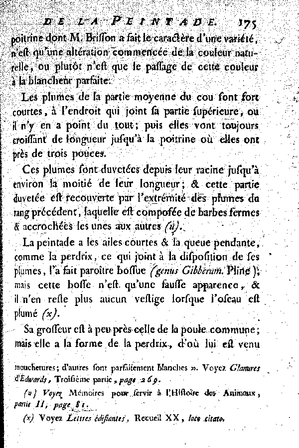 La Peintade