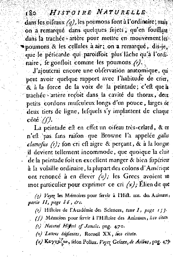 La Peintade