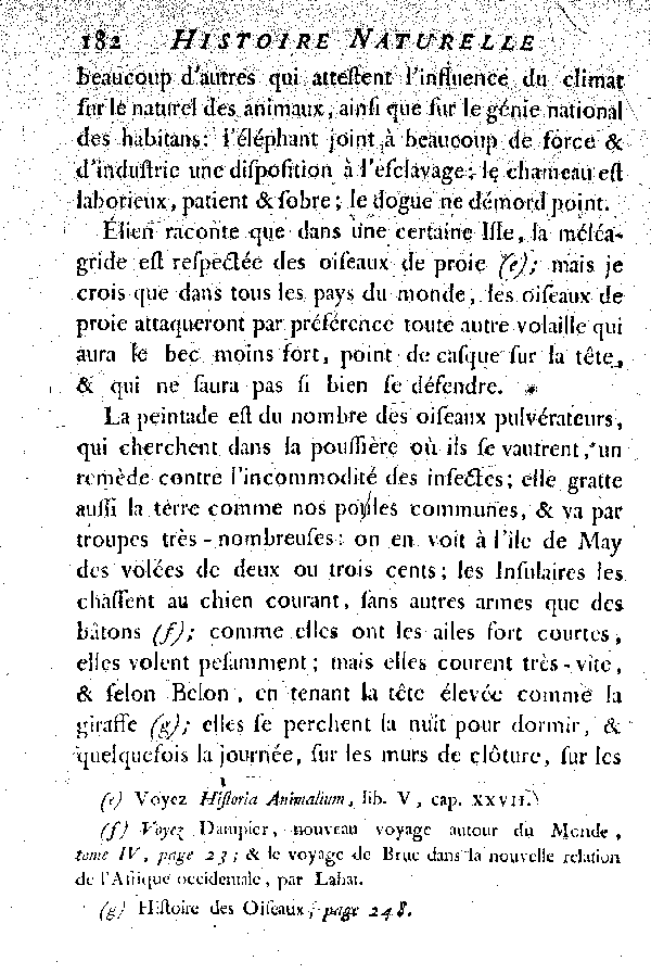La Peintade