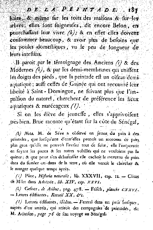 La Peintade