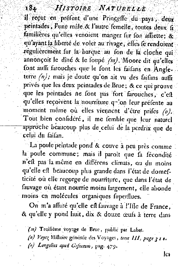 La Peintade