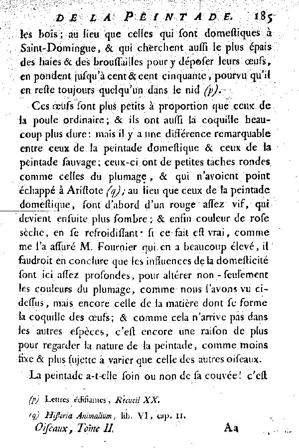 La Peintade