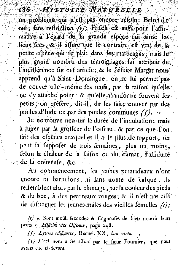 La Peintade