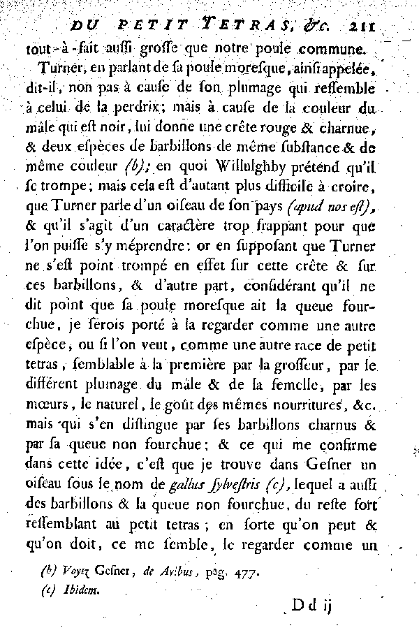 Le petit Tetras ou le Coq de bruyère à queue fourchue