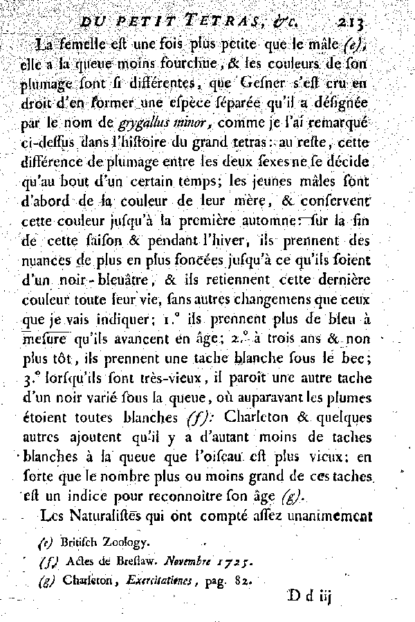 Le petit Tetras ou le Coq de bruyère à queue fourchue