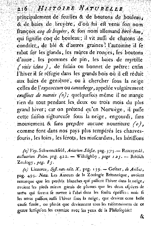 Le petit Tetras ou le Coq de bruyère à queue fourchue