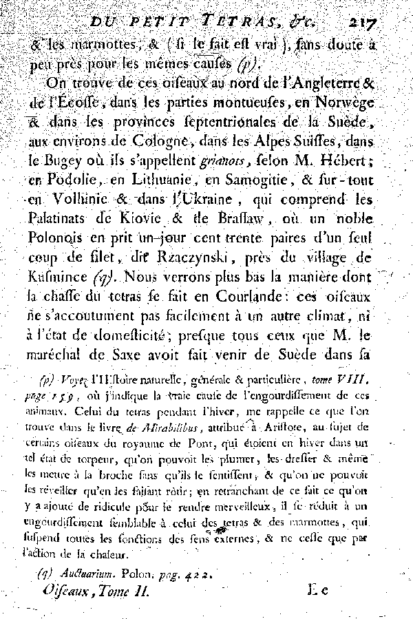 Le petit Tetras ou le Coq de bruyère à queue fourchue