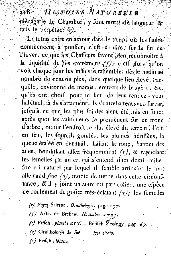 Le petit Tetras ou le Coq de bruyère à queue fourchue