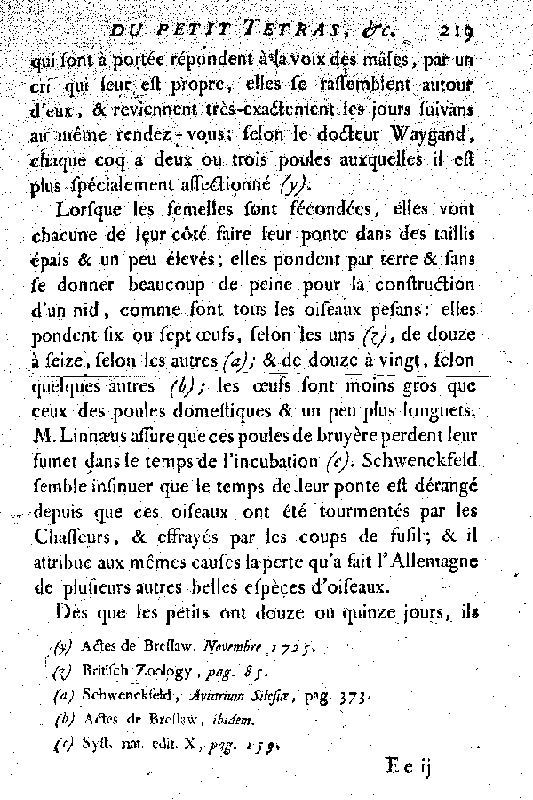 Le petit Tetras ou le Coq de bruyère à queue fourchue