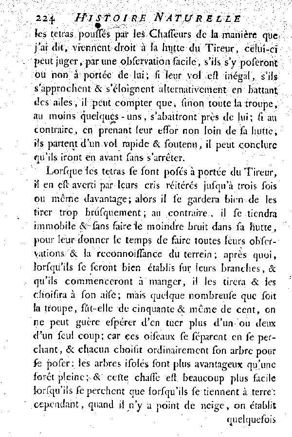 Le petit Tetras ou le Coq de bruyère à queue fourchue