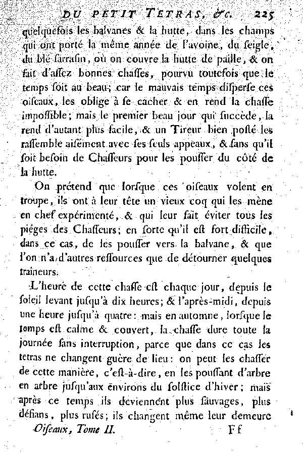 Le petit Tetras ou le Coq de bruyère à queue fourchue