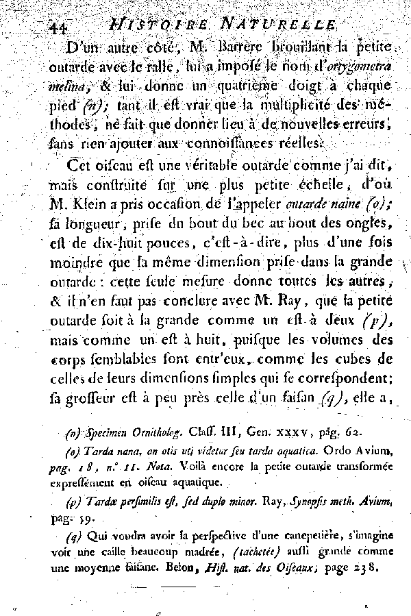 La petite Outarde, vulgairement la Canepetière